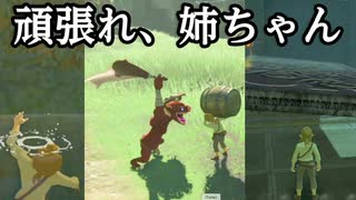 アクションゲー苦手な姉にやらせると想像以上【お姉ちゃん実況】自己紹介付き