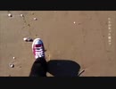 フレル 歌ってみた【るーく】