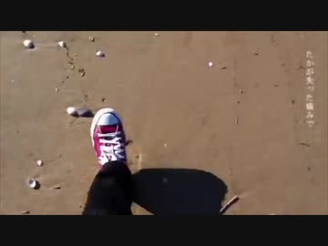 フレル 歌ってみた【るーく】