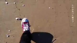 人気の フレル Minjta 動画 23本 ニコニコ動画