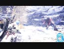 MHWアイスボーンやる！【29】
