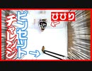 【エサ食べない！！】ピンセットを克服できるのか試したら予想外すぎた。置きエサの説明もします。【あせらない】