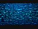 Blue Abstract Looping Motion Background　宗村港