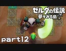 【楽しく実況！】~緑の勇者の漂流記~ ゼルダの伝説 夢をみる島【part12】