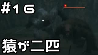 【実況】主を救うために【SEKIRO：隻狼】16日目