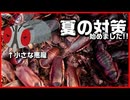 【夏の対策】デュビアの湿気対策してみた【飼いかた】