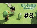 マリンちゃんを探せ！！【 ゼルダの伝説 夢をみる島 】 #8