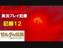 【寄り道ばかりの】ゼルダの伝説BotW【実況プレイ記録12】長い道中 赤い月にご用心