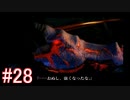 【ドラッグ オン ドラグーン】初見で体験するドラッグ オン ドラグーンの世界 Part28