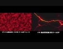【比較】 バキ 第二クールOP トレース　OP比較 【アイドル部】