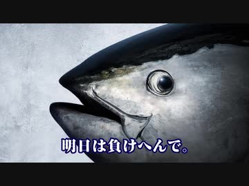 近大マグロ　勝ちパターン（#マグロとじゃんけん）