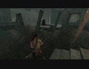 Tomb Raider_ Definitive Edition　マックン＆パックン　13