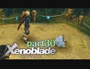 【xenoblade】未来を掴むため僕は剣を手に取った【実況】part30