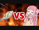 茜ちゃんVSウマヅラハギ