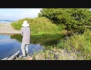 【釣り・近況報告】琵琶湖傍の野川でニゴイ釣り＠釣りたいのはブラックバス【VLOG】