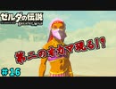 【続編決定記念】のんびりと伝説「ゼルダの伝説～ブレスオブザワイルド～」　＃16