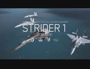 ネタバレ注意　ACECOMBAT7 SP Mission1やっていきます