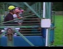 [海外競馬]　第155回 仏ダービー Celtic Swing