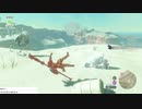 軽い縛りとマスターモードでゼルダの伝説ブレスオブザワイルドpart57。