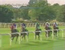 [海外競馬]　第29回 インターナショナルS - Giant's Causeway