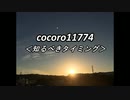 cocoro11774知るべきタイミング