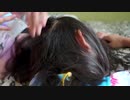 Mother Doing Head Lice Inspection On Daughter.代沢インターナショナル