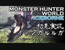 【初見実況】MHW:アイスボーン 番外編【イャンガルルガ編】