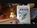 囓りたいお爺ちゃんインコ（その3・最終回）