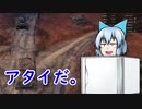 【WoT】霊夢の日雇い戦車道Ⅲ　2日目【ゆっくり実況】