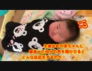 生後半年の赤ちゃんに録音した自分の声を聞かせると どんな反応をするのか！