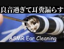 【ASMR】耳垢どんだけ詰まってるの？と言いたくなる奥行き耳かき【音フェチ】
