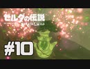 【実況】ゼルダの伝説 ブレスオブザワイルドを実況プレイ part10【BotW】