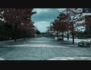 インスタントチルドレン　踊ってみた / Lita