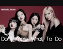 BLACKPINK - Don't Know What To Do【 -JP Ver.- 】