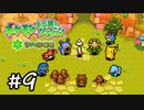 えんせいまでの道のり【ポケダン 空の探検隊＃９】