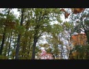 autumn colors at Raiskums park