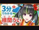 【3分でわかる】沖縄ご当地VTuber根間うい【おきなわ部】