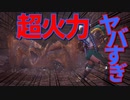 【初見】冬生れ冬大好き雪国に住みたい中２病の私がMHW:Iに移住してみた【実況】part11-2
