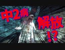 【閲覧注意】厨二病の私が精神ブレイク！【初見実況】part33