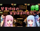 【StardewValley】琴葉姉妹の実質ほぼ初見実況 #08