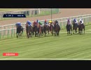 【競馬】2019 ジョッケクルブ賞（仏ダービー） ソットサス