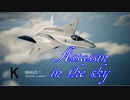 Ace Combat 7 Multiplayer365  バトルロイヤル  YF-23 + HVAA