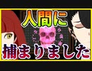 【実況】ポンコツ悪魔たちの一日　悪魔の不幸な一日　#1
