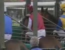 [海外競馬]　第77回 凱旋門賞 - Sagamix