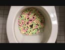 M&M'sとマシュマロをトイレに流してみた