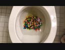 M&M'sとメントスをトイレに流してみた