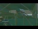 [海外競馬]　第86回 凱旋門賞 - Dylan Thomas