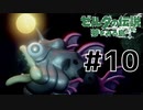 水だらけのダンジョンに挑戦！！【 ゼルダの伝説 夢をみる島 】 #10