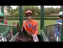 [海外競馬]　第88回 凱旋門賞 - Sea the Stars