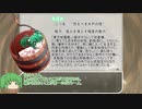 【未翻訳SCP】ウィズダム英和SCP辞典　vol.12